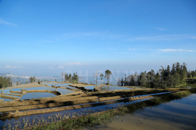 Rice fields, MaLiZhai