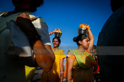 Devotees carry milk pot on their heads walk to the temple