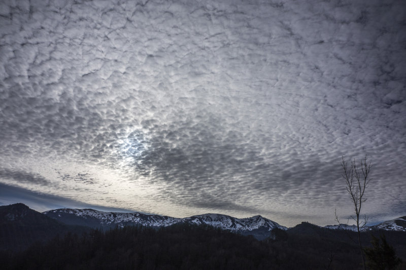 Mackerel sky