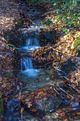 Stream in winter woods