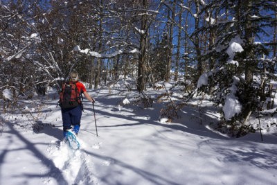 Snow-shoeing - Ax les Thermes, into the woods