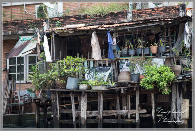 Bangkok Canal Housing-68