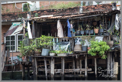 Bangkok Canal Housing-68