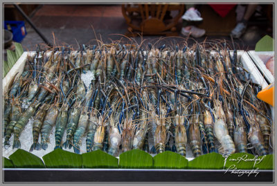 Bangkok Street Seafood-107