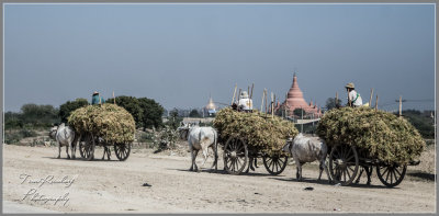 Myanmar First Thing I Saw