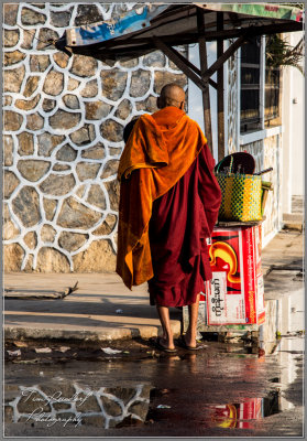 Myanmar Monk