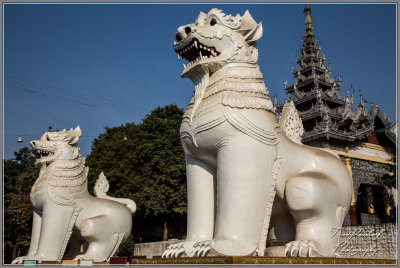 Myanmar Lions