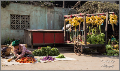 Roadside Store