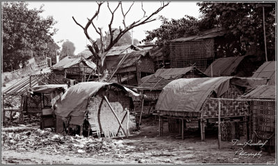 Lake Shore Poverty 5