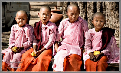 Monks in Training