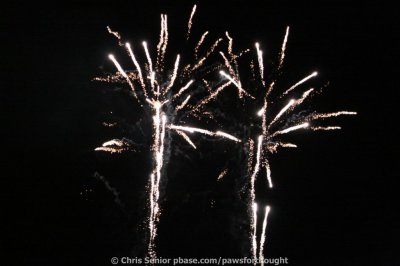 CS_0273.JPG