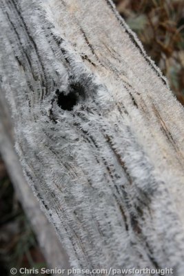 CS_0008.JPG
