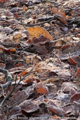 CS_0030.JPG