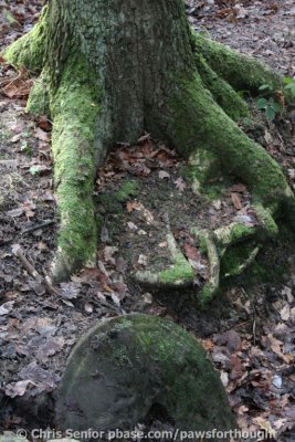 CS_0057.JPG