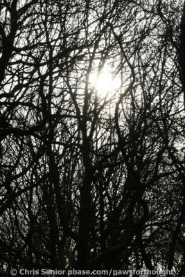 CS_0058.JPG