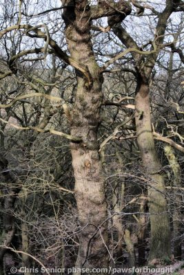 CS_0073_fhdr.jpg