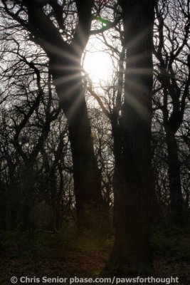 CS_0075_fhdr.jpg