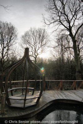CS_0090_fhdr.jpg