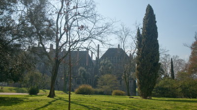 DSC04526.jpg