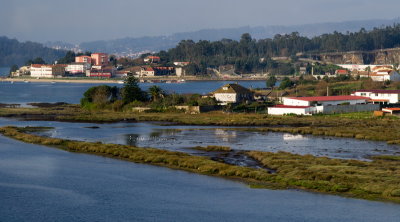 DSC09306.jpg