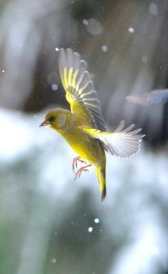DSC_1119c.jpg