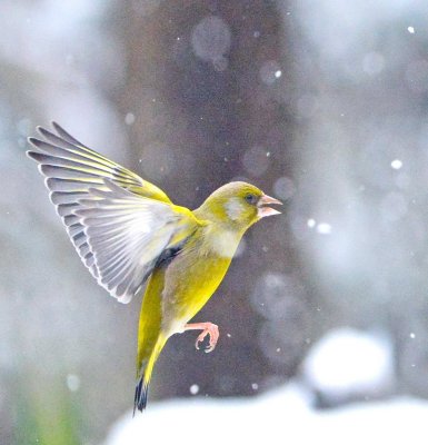 DSC_1188c.jpg
