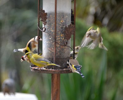 DSC_1347c.jpg