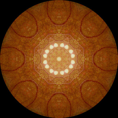 sarmin1359b_Orange Tapestry_Sarracenia Minor