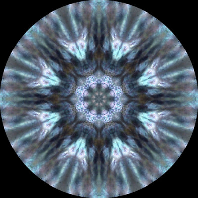 abalonewh2506g_White Abalone _Space Trip