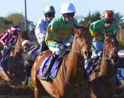 over the jumps1.jpg