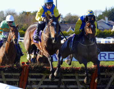 wexford_races_oct