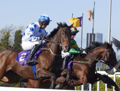 horse racing 1.jpg