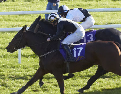 pipped on the line .jpg