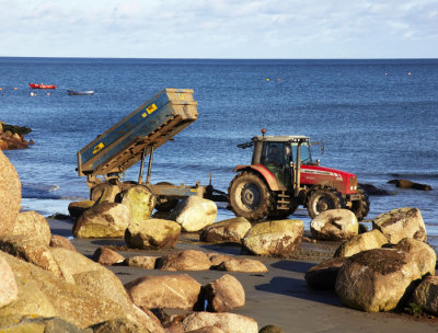 unloading rocks 1.jpg