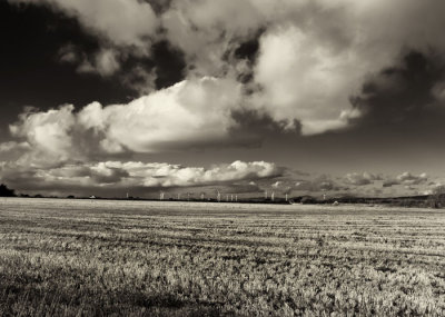 field and clouds 2.jpg