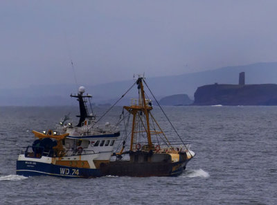 homeward bound at crook head .jpg
