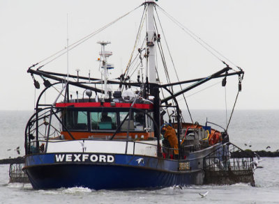 fishing for mussels .jpg