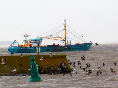fishing ship and gulls .jpg