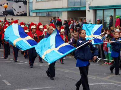 flagwavers 1.jpg
