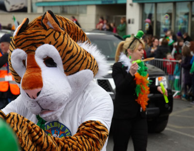 is this the celtic tiger  back again .jpg