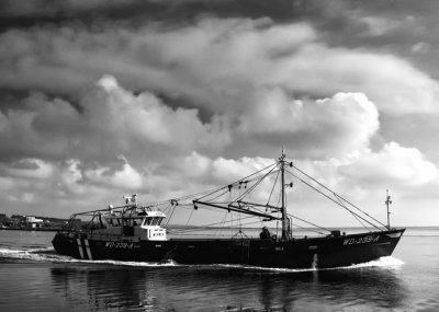 going fishing 3.jpg