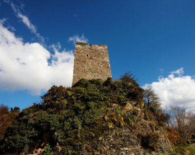 ferrycarrig castle .jpg