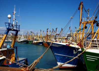 fleet at aanchor 1.jpg