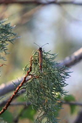 IMG_9913.jpg