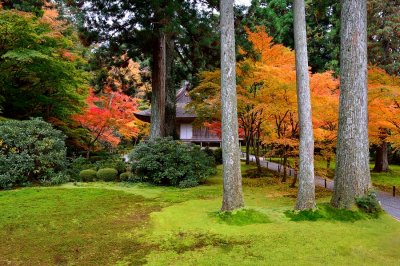 Sanzen-in Temple at Ohara KYOTO