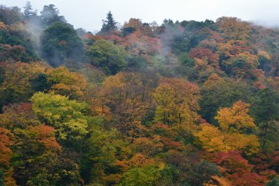 Arashiyama at Kyoto