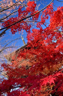 Shinnyo-do Temple at Kyoto