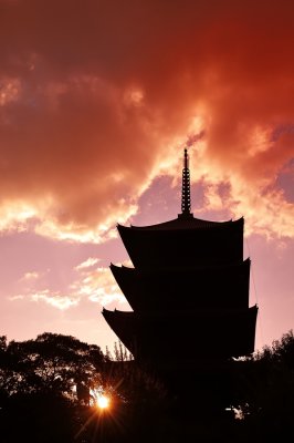 Toji-Temple at Kyoto
