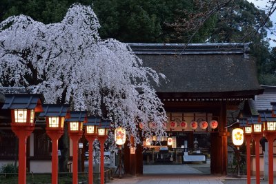 Hirano Shrine Kyoto