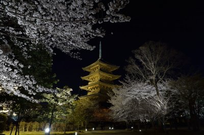 Toji-Temple at Kyoto